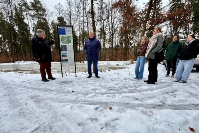 Die Weiher füllen sich