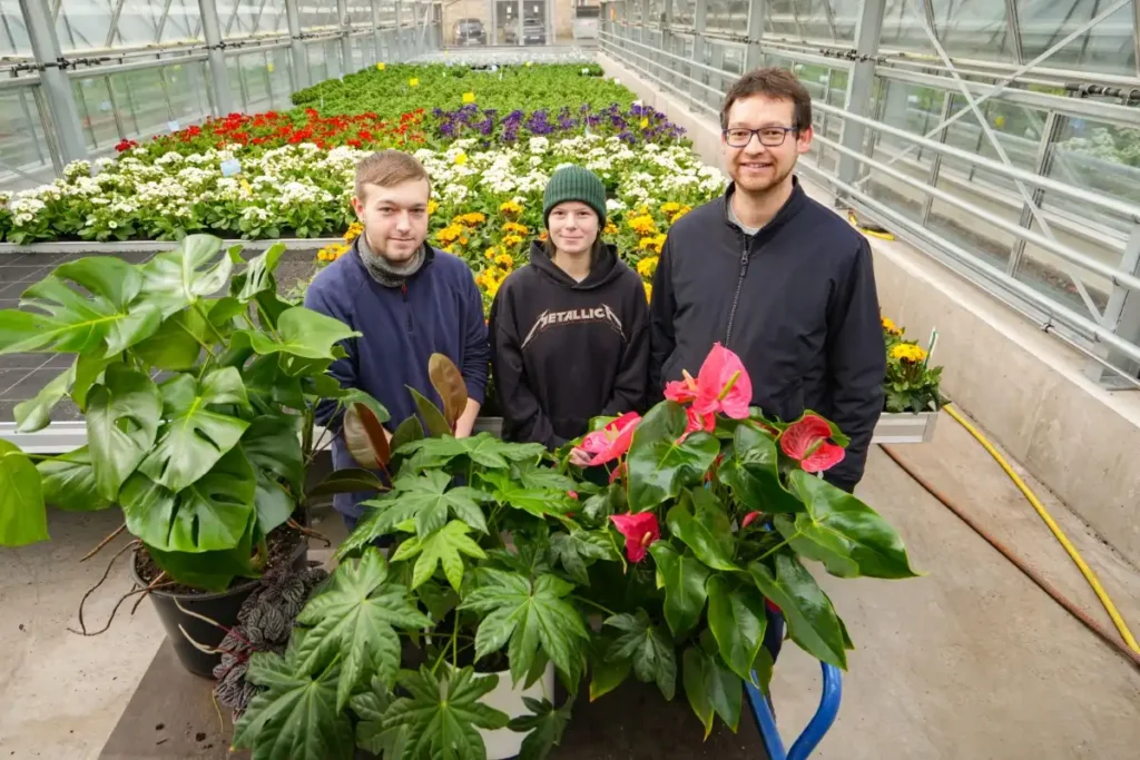 Tropenfeeling in den eigenen vier Wänden