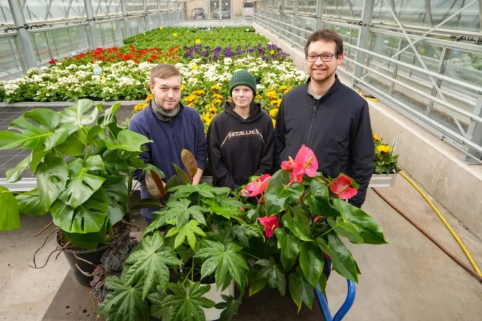 Tropenfeeling in den eigenen vier Wänden