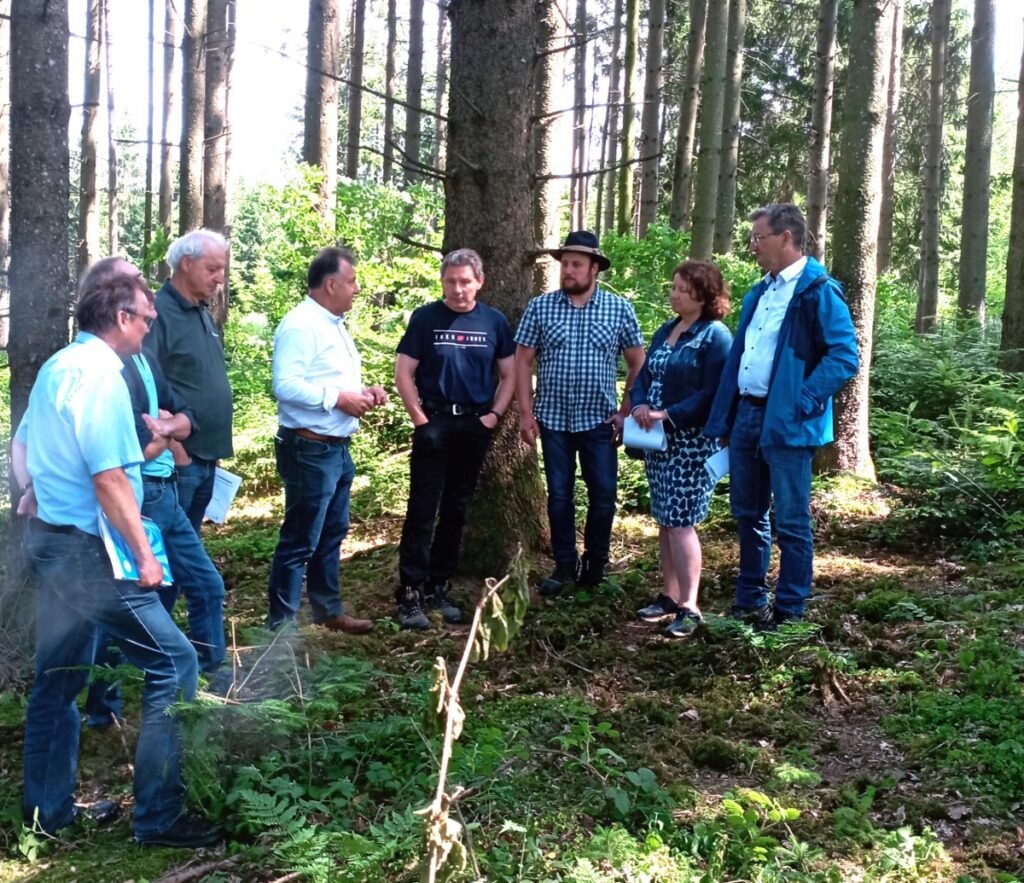 Holz – nachhaltig und klimafreundlich