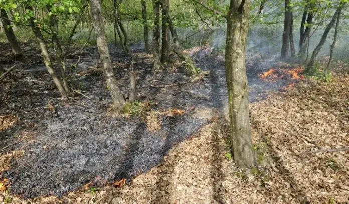 Erhöhte Gefahr für Wald- und Flächenbrände in und um Landshut