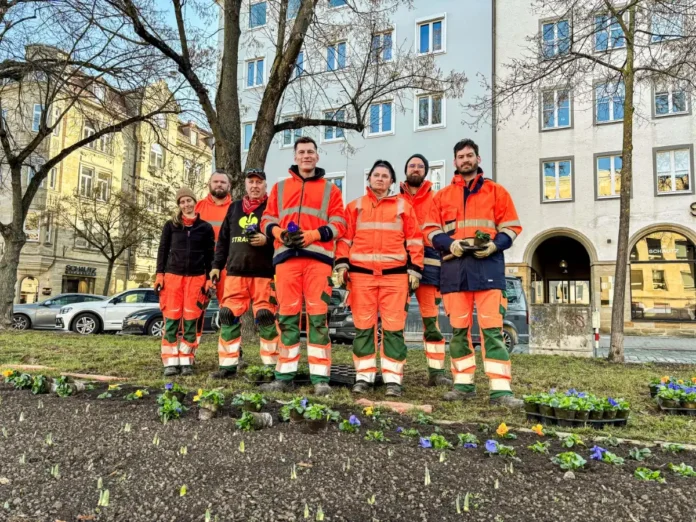 Zehntausende Blumen für Bayreuths blühenden Frühling Zehntausende Blumen für Bayreuths blühenden Frühling