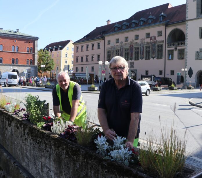 Herbst- und Winterpflanzung in der Stadt Passau