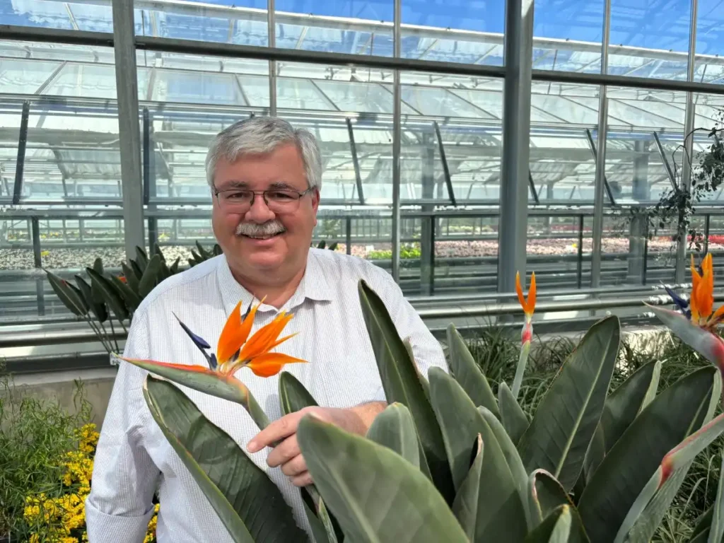 Blumen, die die Nachbarn staunen lassen