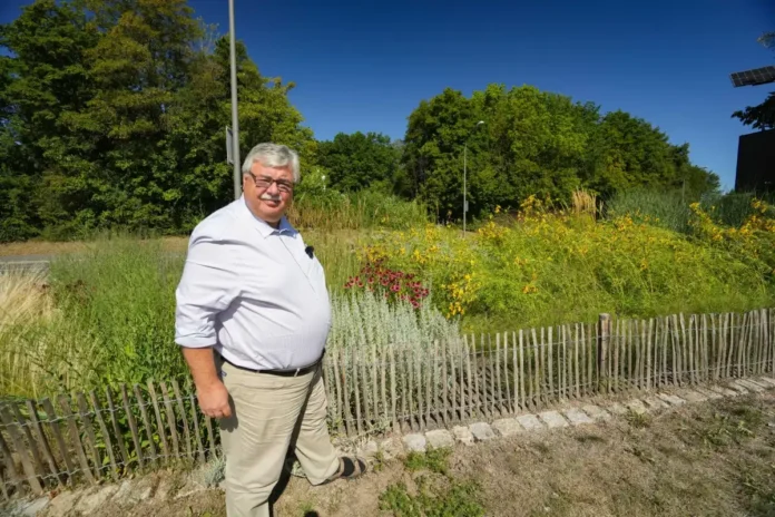 Ein Stückchen Prärie im eigenen Garten