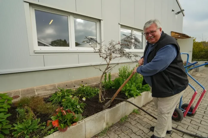 Sträucher am besten im Herbst pflanzen Sträucher am besten im Herbst pflanzen