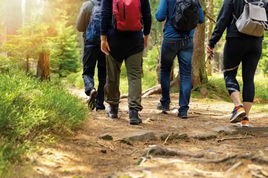 „Brain-Walk“ in Riedenburg: Bewegung und geistige Fitness für den Kopf