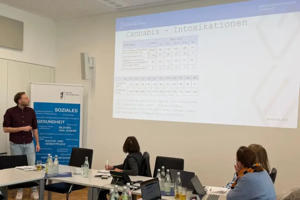 Cannabis-Teillegalisierung: Risiken und Auswirkungen auf die Bezirkskliniken im Blick
