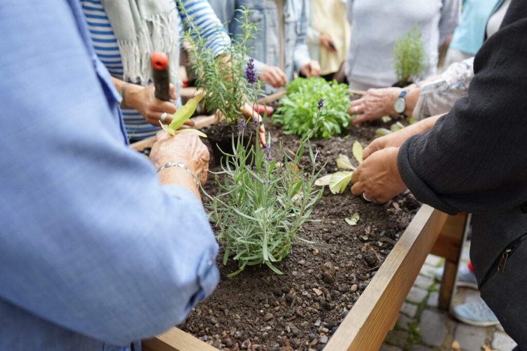 Scrat: Ein Hochbeet für alle Generationen am Bürglaß