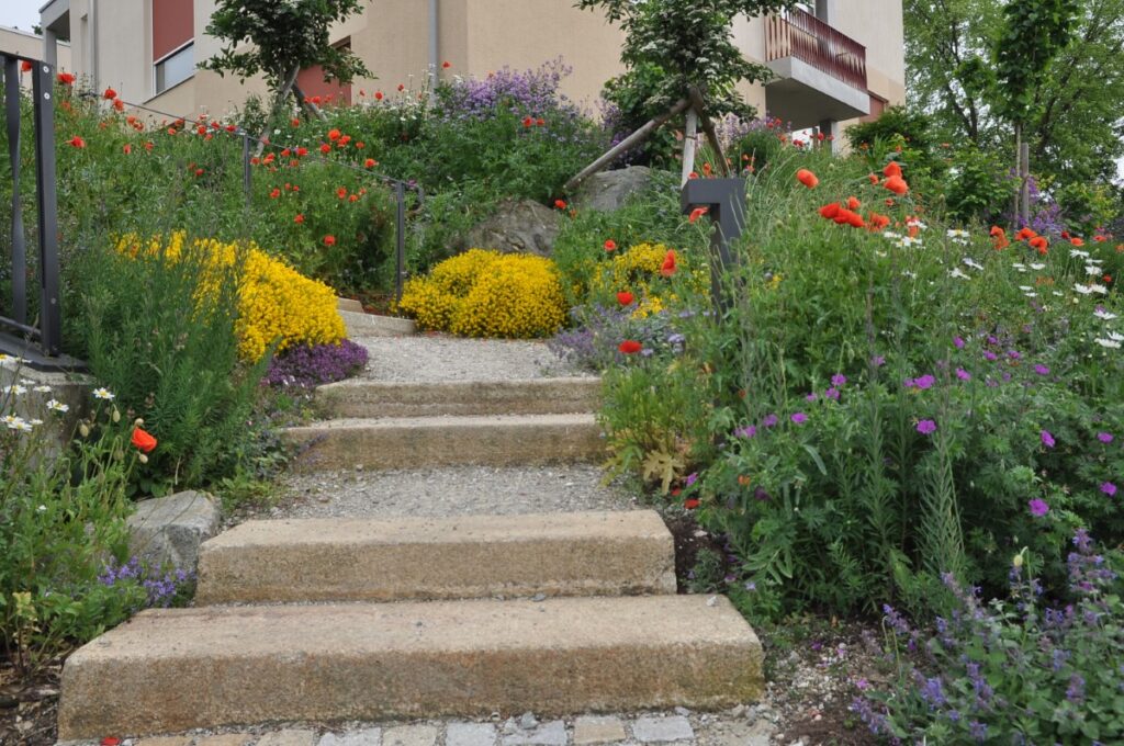 Auszeichnung „Naturgarten – Bayern blüht“ – Teilen Sie Ihren Garten mit der Natur