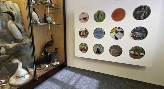 Museum Bayerisches Vogtland eröffnet umgestaltete Naturkundeabteilung Museum Bayerisches Vogtland eröffnet umgestaltete Naturkundeabteilung