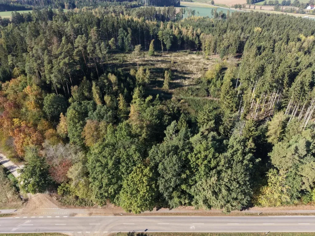 Rodungsarbeiten für den Neubau der Ortsumfahrung Weihmichl beginnen