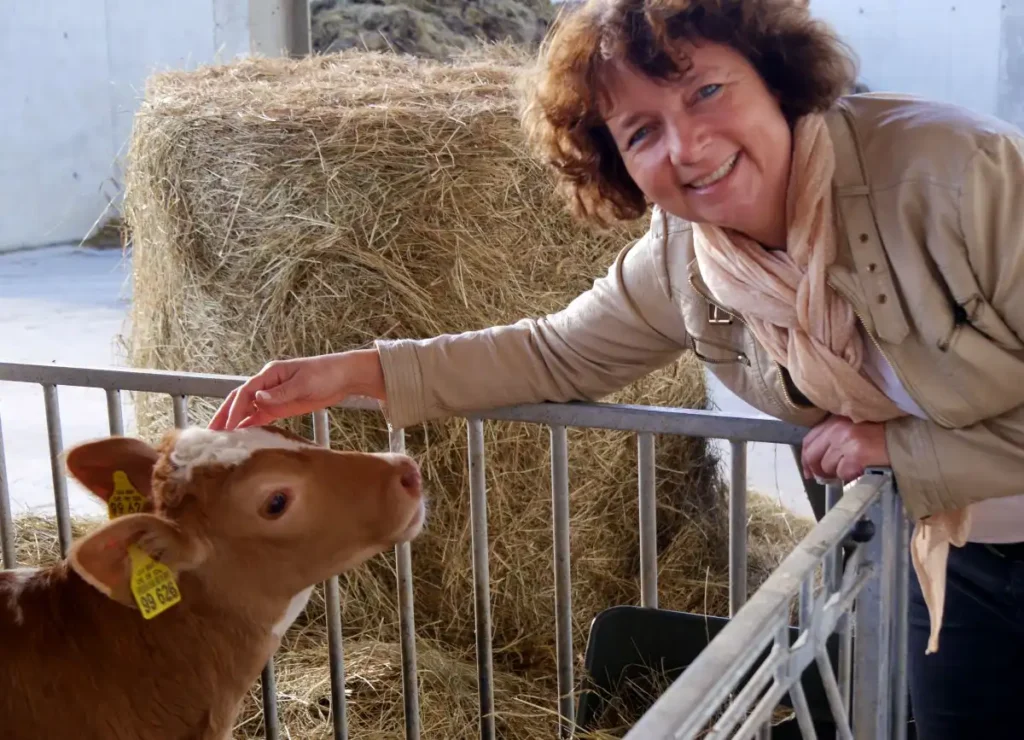 Erneuter Tierschutzskandal