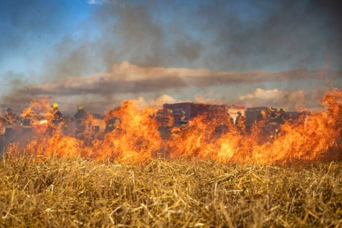Feuerwehr Felder Feuer