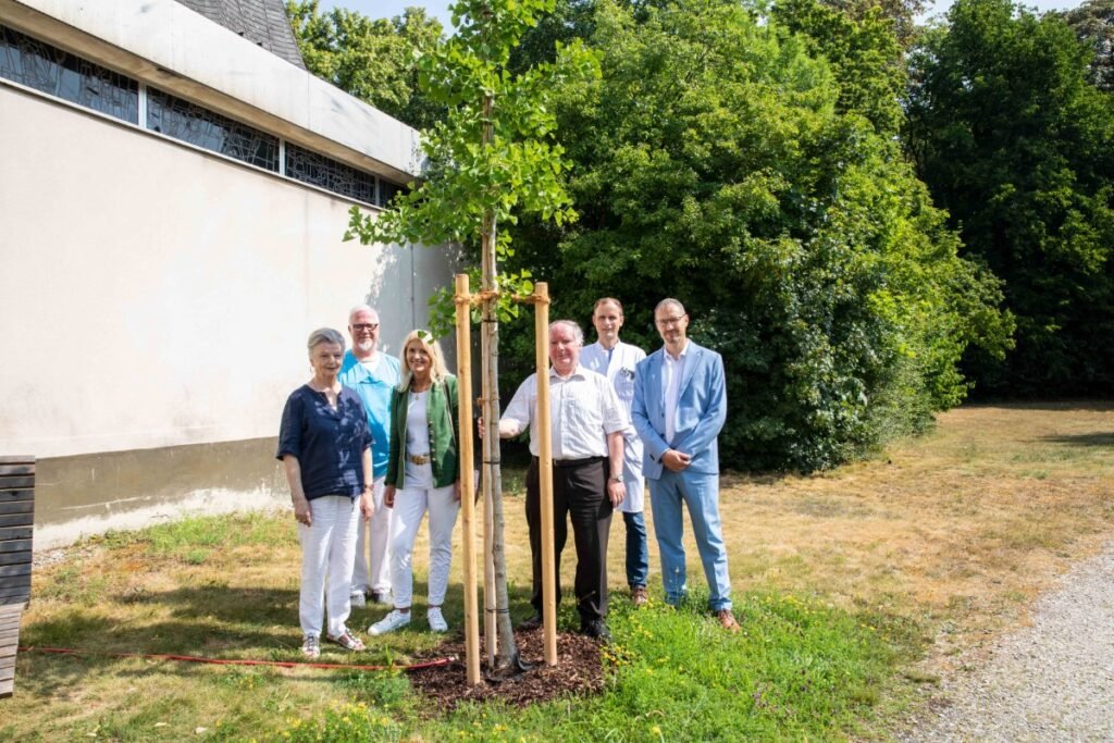 Ein Ginkgobaum für das Klinikum