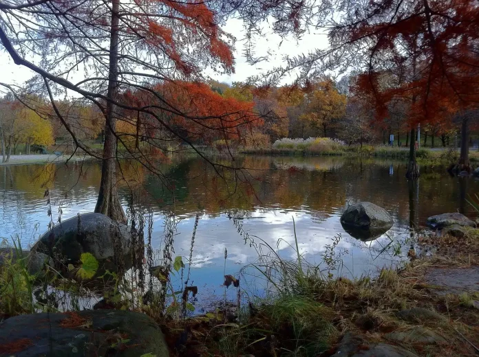 Fischsterben im Westparksee