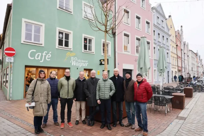 Gießpaten für „mobilen Baum“ in der Neustadt gesucht
