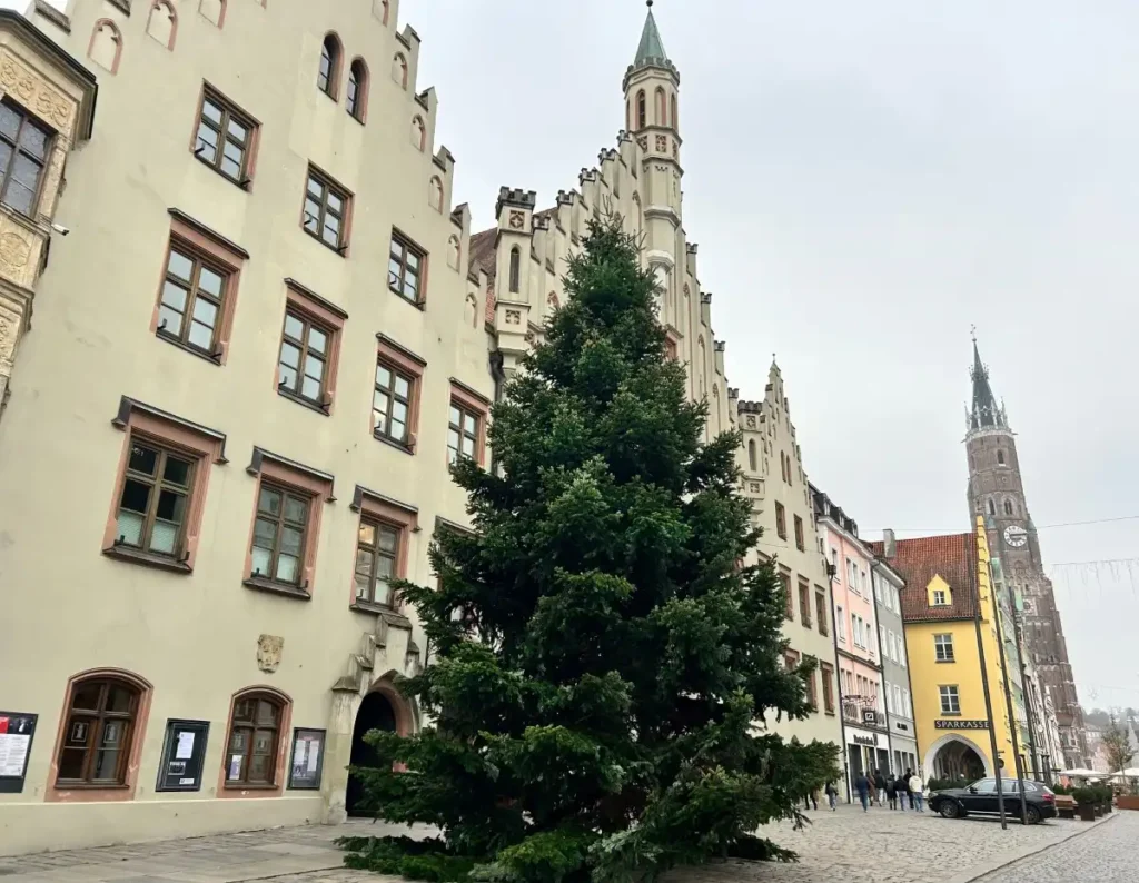 RATHAUS-CHRISTBAUM STEHT IN VOLLER PRACHT