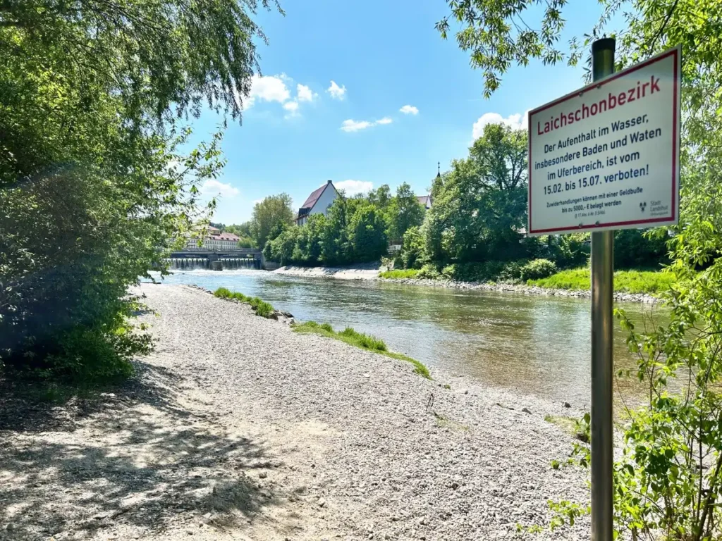 Zum Schutz seltener Fischarten