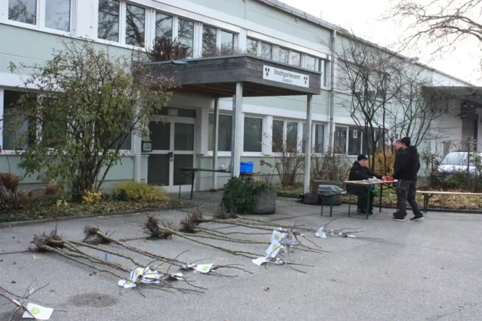 Aktion „Streuobst für alle“ gut angenommen